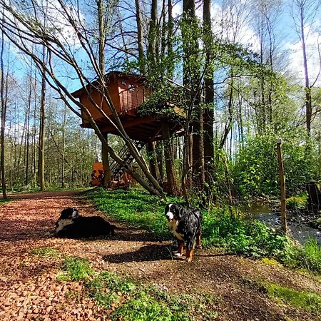 Treehouse V Brdech Villa Bohutín Eksteriør bilde