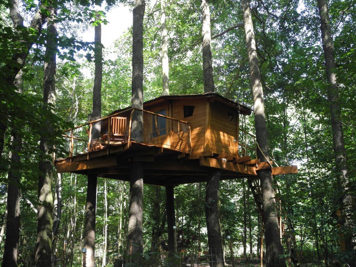 Treehouse V Brdech Villa Bohutín Eksteriør bilde