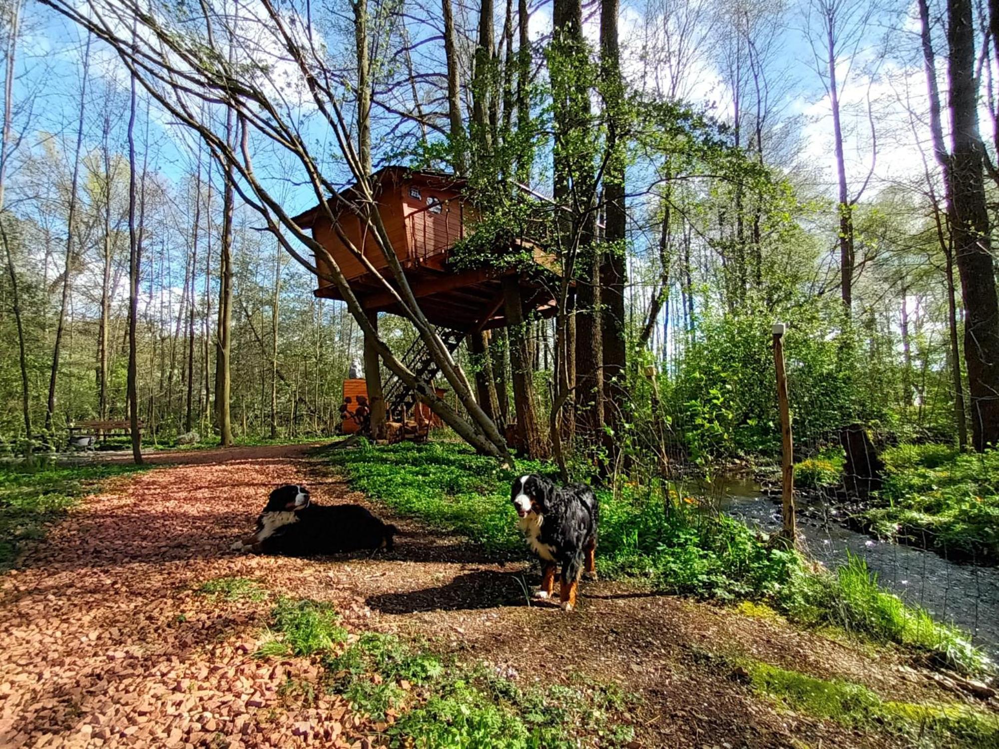 Treehouse V Brdech Villa Bohutín Eksteriør bilde